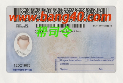 图片[2]-威斯康星州驾驶执照 PSD 模板