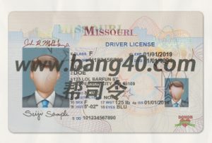 密苏里州驾驶执照 PSD 模板 V3  Missouri Driver License PSD Template V3-帮司令