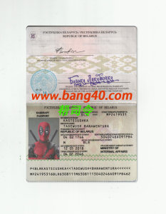白俄罗斯护照 Psd 模板Belarusian passport Psd template-帮司令