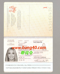 丹麦护照模板Psd Danish passport template Psd-帮司令