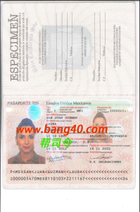 墨西哥护照模板Psd格式Mexican Passport Template Psd Format-帮司令