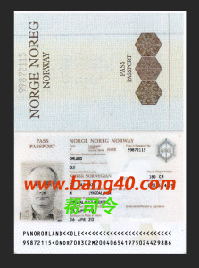 挪威护照 Psd 模板新 2022Norwegian passport Psd template new 2022-帮司令