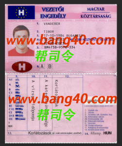 匈牙利驾驶执照 PSD 模板Hungarian driver's license PSD template-帮司令