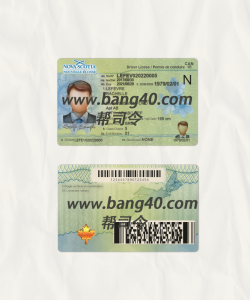 加拿大新斯科舍省驾驶执照 Psd 模板Nova Scotia driver license Psd template-帮司令