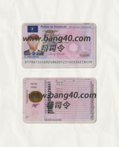 法国驾驶执照 PSD 模板PSD template for French driver's license-帮司令