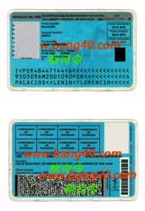 秘鲁驾驶执照 PSD 模板Peruvian driver's license PSD template-帮司令
