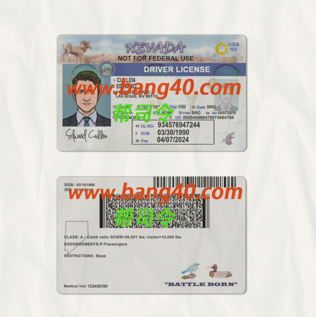 内华达州驾驶执照 Psd 模板 V2