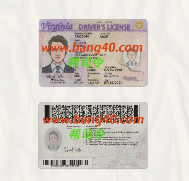 弗吉尼亚州驾驶执照 PSD 模板 V2