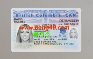加拿大不列颠哥伦比亚省驾驶执照模板 Driver's License Template for British Columbia, Canada-帮司令