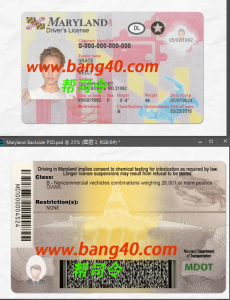 PSD 格式 V2 中的马里兰州驾驶执照模板Maryland Driver's License Template in PSD Format V2-帮司令