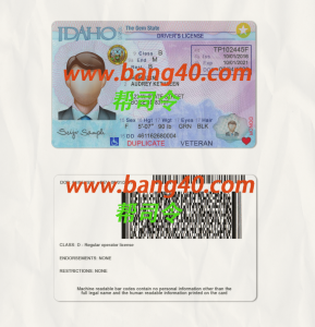 爱达荷州驾驶执照 PSD 模板 New2022 Idaho driver's license PSD template New2022-帮司令