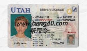 犹他州驾驶执照 Psd 模板新Utah Driver's License Psd Template New-帮司令