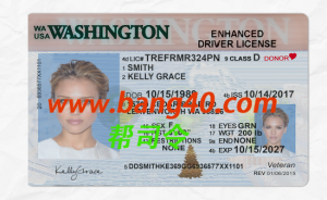 华盛顿驾驶执照 PSD 模板 V3 Washington Driver's License PSD Template V3-帮司令