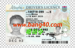加拿大-艾伯塔省驾驶执照 PSD 模板Canada Alberta Driver License PSD Template-帮司令