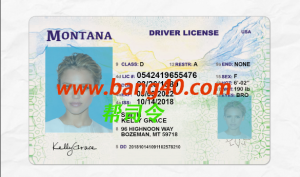 蒙大拿州驾驶执照 Psd 模板（New2022）Montana driver license Psd template (New2022)-帮司令