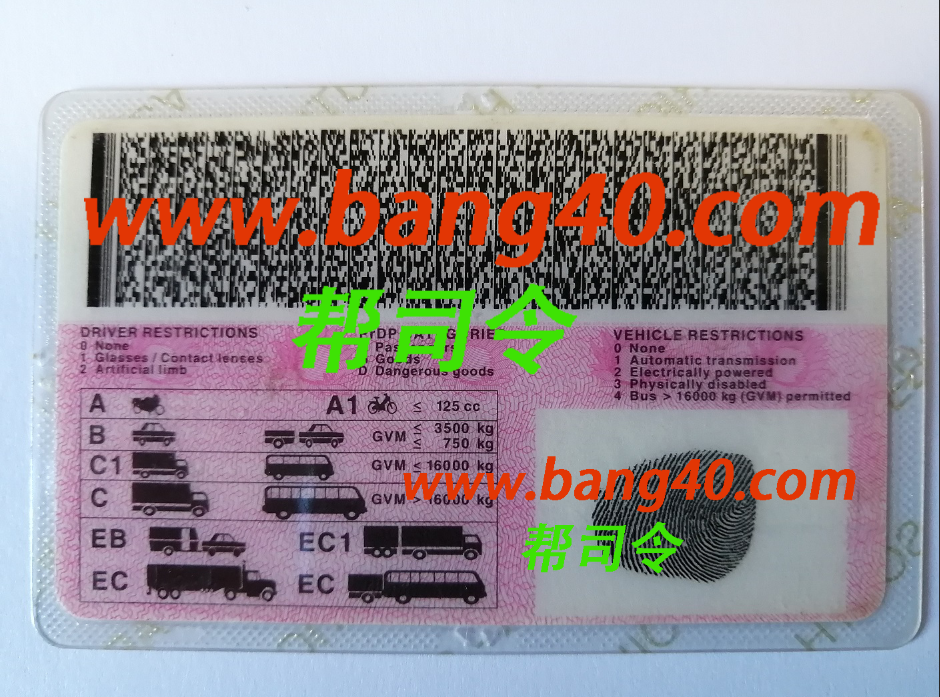 图片[2]-南非驾驶执照高质量版本