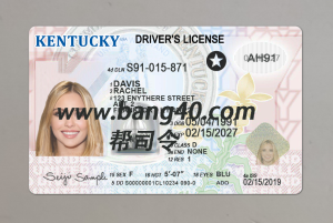 新的肯塔基州驾驶执照 PSD 模板New Kentucky Driver License PSD Template-帮司令