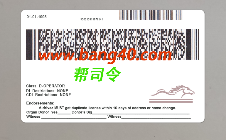 图片[2]-新的肯塔基州驾驶执照 PSD 模板