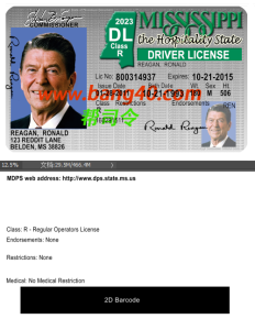 PSD 格式 V2 中的明尼苏达州驾驶执照模板Minnesota Driver License Template in PSD Format V2-帮司令