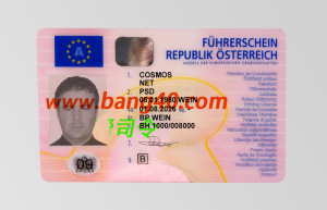 德国驾驶执照模板German driver's license template-帮司令