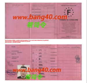 PSD 格式 V1 中的法国驾驶执照模板French driver's license template in PSD format V1-帮司令