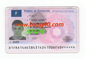 PSD 格式 V2 中的法国驾驶执照模板French driver's license template in PSD format V2-帮司令