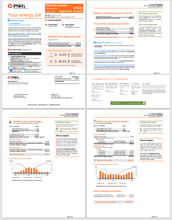 图片[2]-PSEG 公用事业账单 Pdf 模板