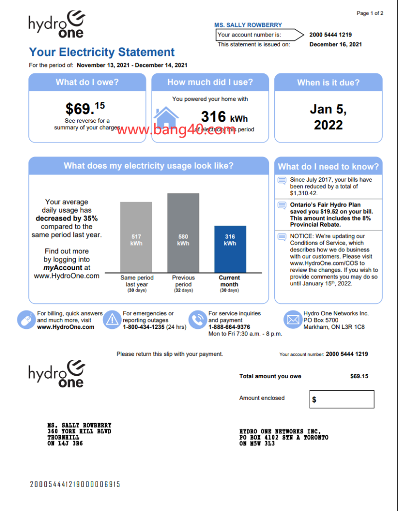 加拿大 Hydro One 电费单模板