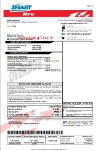 菲律宾 Smart Bro 公用事业账单模板Philippine Smart Bro Utility Billing Template-帮司令