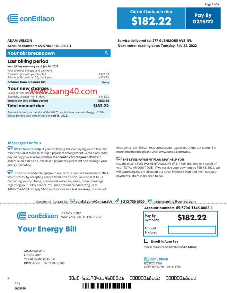 纽约 ConEdison 账单模板