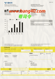 挪威 BKK 公用事业账单可编辑 PSD 模板Editable PSD template for Norwegian BKK utility bills-帮司令