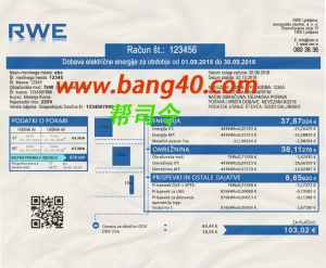 斯洛文尼亚 RWE 公用事业账单可编辑 PSD 模板Slovenian RWE utility bill editable PSD template-帮司令