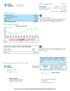 杜克能源佛罗里达法案模板Duke Energy Florida Act Template-帮司令