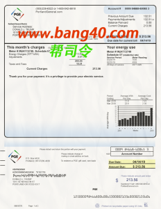 美国俄勒冈州 PGE 电力公用事业账单 Psd 模板PGE Power Utility Bill Psd Template for Oregon, USA-帮司令