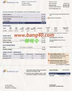 新泽西南泽西煤气单psd模板New Jersey South Jersey Gas Single PSD Template-帮司令