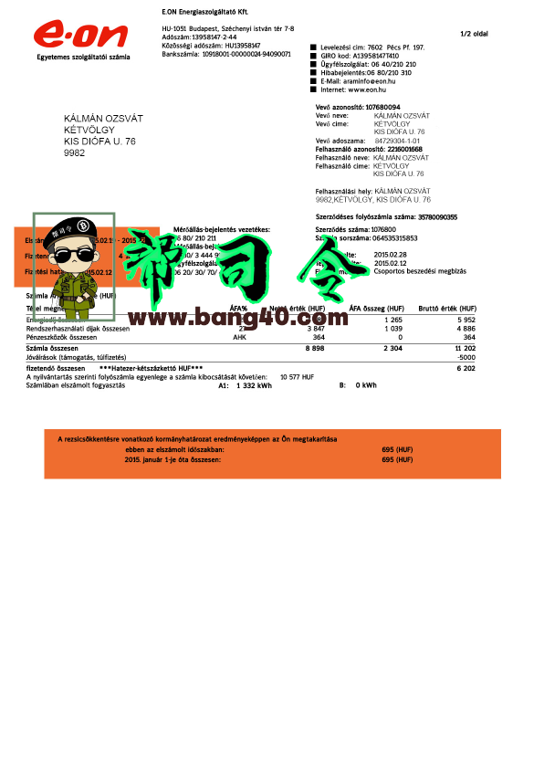 匈牙利 E.On 公用事业账单 Psd 模板