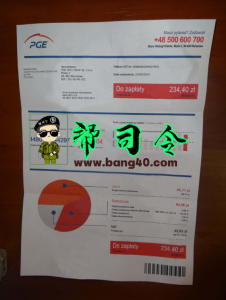 波兰 PGE 公用事业账单 Psd 模板 V2  Poland PGE Utility Bill Psd Template V2-帮司令