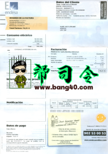 Endesa 智利公用事业账单 PSD 模板Endesa Chile Public Utility Bill PSD Template-帮司令