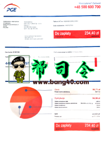 波兰 PGE 公用事业账单 Psd 模板Poland PGE Utility Bill Psd Template-帮司令