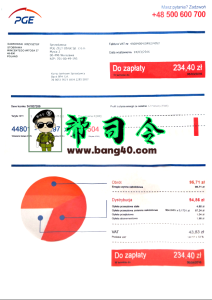 波兰 UPC 公用事业账单 Psd 模板Polish UPC Utility Bill Psd Template-帮司令