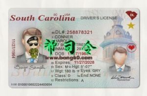 南卡罗来纳州驾驶执照 PSD 模板 V2  South Carolina Driving License PSD Template V2-帮司令