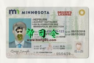 明尼苏达州驾驶执照 PSD 模板 V2  Minnesota Driver License Psd Template V2-帮司令