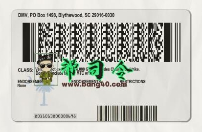 图片[2]-南卡罗来纳州驾驶执照 PSD 模板 V2