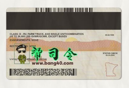 图片[2]-明尼苏达州驾驶执照 PSD 模板 V2