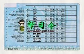 图片[2]-乌克兰驾驶执照 PSD 模板 V2（新）