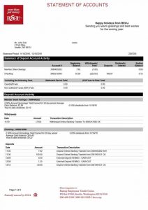 美国BECU 银行对账单BECU Bank Statement-帮司令