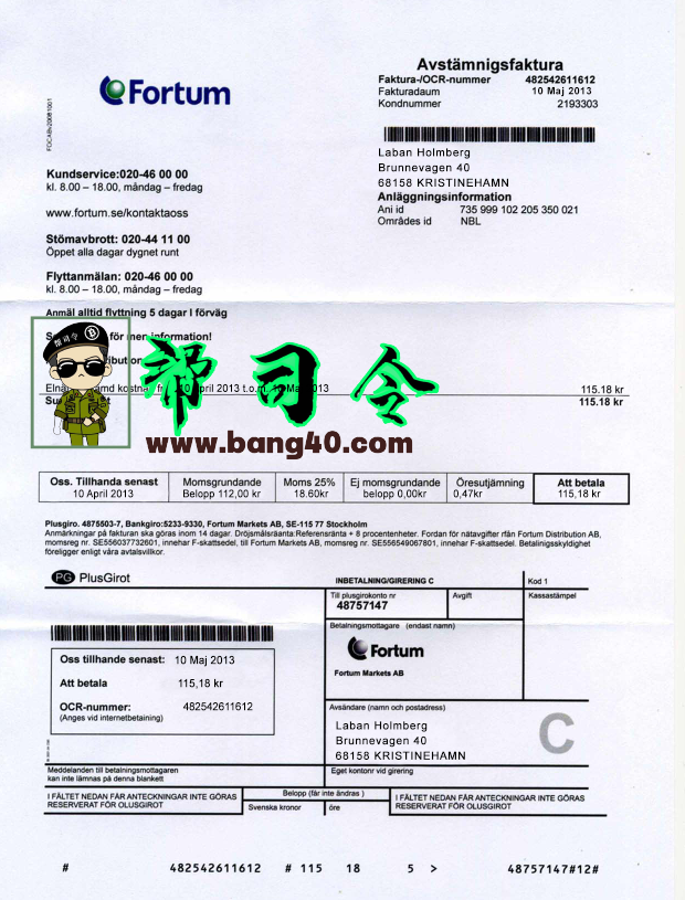芬兰 Fortum 法案 – PSD 格式
