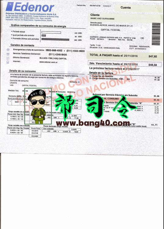 阿根廷 Edenor 公用事业账单模板 PSD