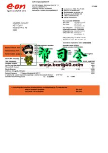德国 E.On 公用事业账单 Psd 模板German E.On Utility Bill Psd Template-帮司令
