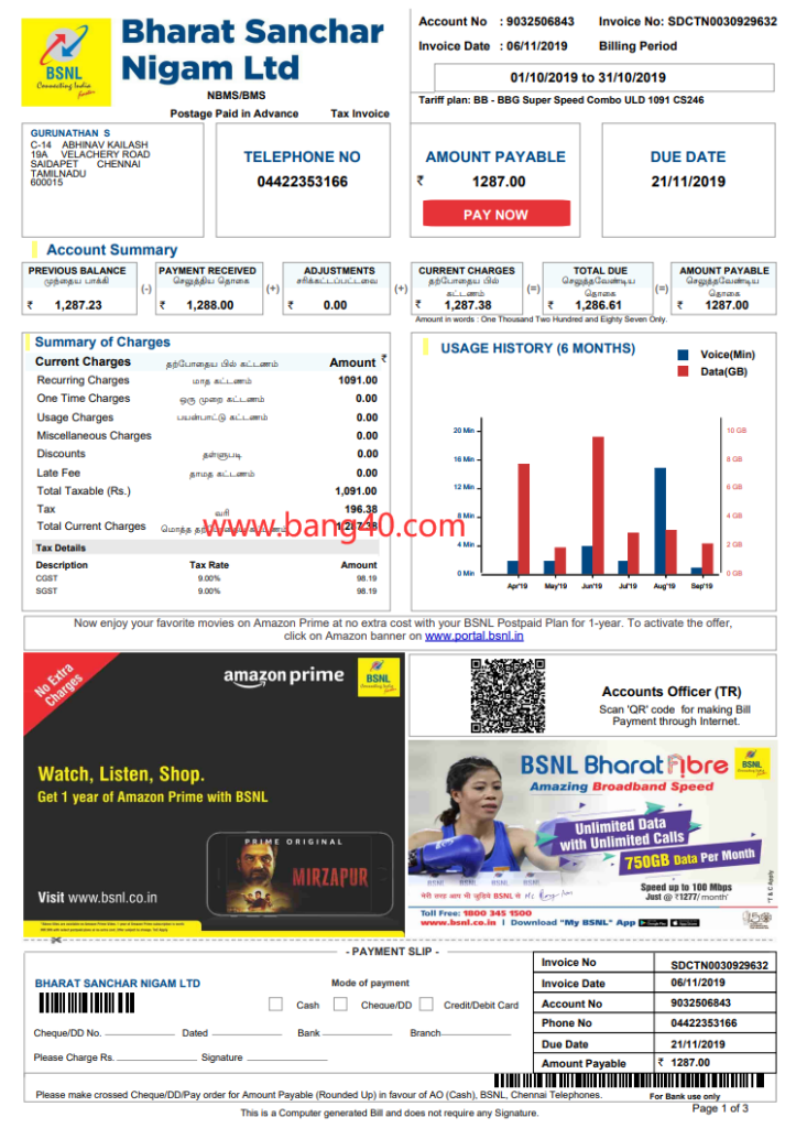 印度 BSNL 电话帐单模板pdf